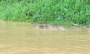 Phát hiện 2 thi thể trong hồ thủy điện Hủa Na sau bão số 5