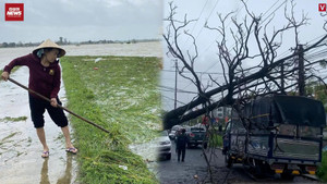 Thanh Hóa: Kinh hoàng xe tải 'bẹp dúm', hoa màu bị nhấn chìm sau bão số 5