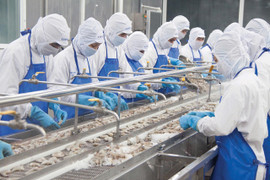 COFIDEC: Vững vàng trước thách thức, tăng tốc về đích kế hoạch năm 2025