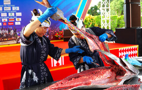 Mãn nhãn cảnh chế biến cá ngừ đại dương hơn nửa tạ phục vụ miễn phí du khách