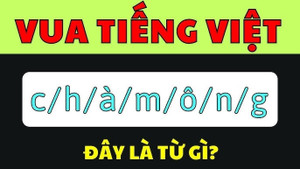 Vua Tiếng Việt cũng phải chào thua trước câu đố này