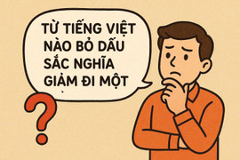 Từ Tiếng Việt nào bỏ dấu sắc nghĩa giảm đi một nửa?
