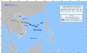 Thủ tướng yêu cầu tập trung ứng phó bão số 6