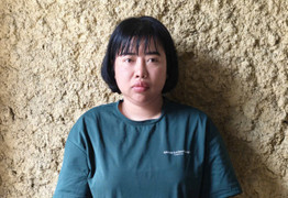 Tạm giữ người phụ nữ lừa bán giấy mời xem diễu binh, diễu hành 2/9