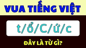 Vua Tiếng Việt cũng phải 'bó tay' trước câu đố này