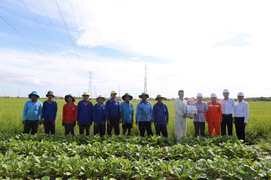 Hơn 800 cán bộ, kỹ sư, công nhân EVNSPC làm việc xuyên lễ trên các công trình