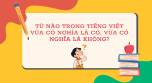 Từ Tiếng Việt nào vừa có nghĩa là có, vừa có nghĩa là không?