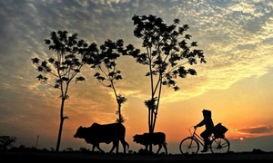 Nhạc hiệu quen thuộc này gợi bạn nhớ tới chương trình nào của VOV?