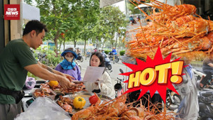 'Bùng nổ' cơn sốt tôm hùm: Món sang chảnh thành đặc sản bình dân tại TP.HCM