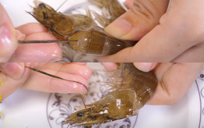 Rút chỉ đen ở lưng tôm sao cho dễ và đẹp?