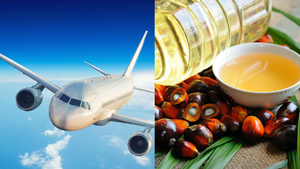 CO₂ thành 'dầu cọ nhân tạo': Nhiên liệu cho ngành hàng không 