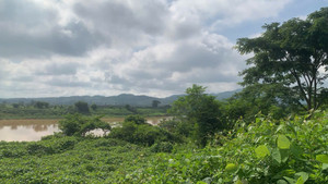 Thông báo thực hiện thu hồi đất tại xã Đăk Rơ Wa, tỉnh Quảng Ngãi 