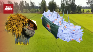 Philippines dừng nhập khẩu, Bộ Công Thương kêu gọi doanh nghiệp mua lúa cho dân 