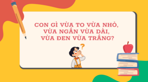 Con gì vừa to vừa nhỏ, vừa ngắn vừa dài, vừa đen vừa trắng?