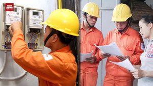 Chuyên gia đề xuất Kiểm toán Nhà nước vào cuộc với EVN