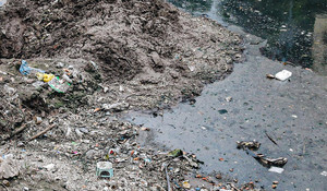 Sông Tô Lịch, sông Kim Ngưu chỉ có thể hồi sinh khi không còn xả thải trực tiếp