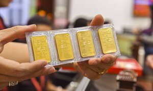 Chỉ sau 1 ngày, giá mua vàng miếng giảm 3,8 triệu đồng/lượng