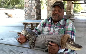 Mang cá sấu 'chữa lành' vào siêu thị Mỹ, người đàn ông bị từ chối gây tranh cãi