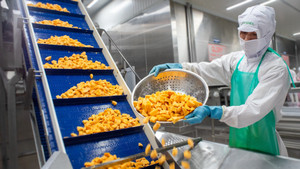 COFIDEC: Tiên phong chuyển đổi xanh với chiến lược hai trụ cột