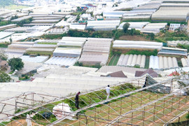 Đà Lạt trong vòng xoáy bê tông, nhà kính: Tỉnh cam kết siết quản lý xây dựng