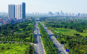 Phản hồi xung quanh cảnh báo mất an toàn khi trồng cây ở dải phân cách cao tốc