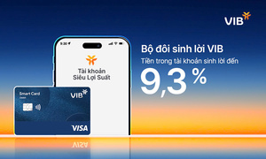 Bộ đôi Sinh Lời VIB – giải pháp tài chính tối ưu dòng tiền đến 9,3%