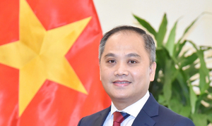 Việt Nam - New Zealand thúc đẩy quan hệ đối tác chiến lược toàn diện