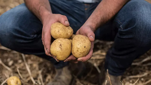 Nông nghiệp tái tạo: 'Vũ khí xanh' mới của hai ông lớn ngành thực phẩm