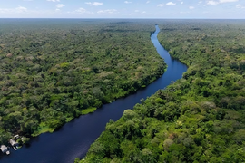 Khi những dòng sông lớn dần biến mất: Báo động sinh thái toàn cầu đang đến gần?