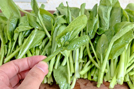 3 loại rau mùa thu được gọi là 'vua canxi', ai cũng nên ăn thường xuyên