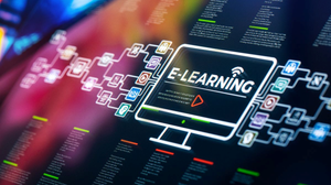 Kinh nghiệm thực tiễn triển khai đào tạo trực tuyến các trường đại học, cao đẳng