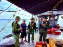 Bão số 9 Ragasa suy yếu nhanh khi vào Quảng Ninh