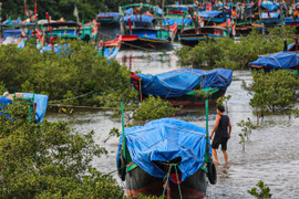Người Hà Tĩnh tất bật gia cố nhà cửa, đưa tàu thuyền vào bờ tránh bão số 10