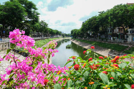 Nước sông Tô Lịch trong xanh trở lại sau cảnh cạn trơ đáy, cá chết bốc mùi