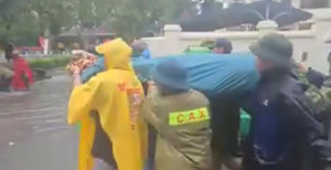 Đi kiểm tra tình hình mưa bão, cán bộ thôn ở Thanh Hóa bị cây đổ đè chết