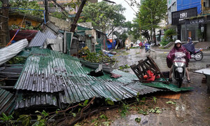 'Cuồng phong' Bualoi quét qua Nghệ An: Hàng loạt cây ngã đổ, mái tôn bay tứ tung