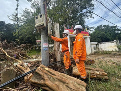 EVN cập nhật tình hình vận hành và cung cấp điện sau bão số 10