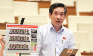 ĐBQH đề xuất giải pháp đỗ ô tô trước nhà dân tránh mâu thuẫn, bị phá hỏng xe