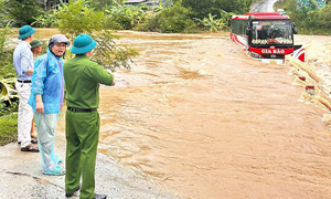 Huy động hơn 200 người và chó nghiệp vụ tìm 4 nạn nhân sạt lở ở Tuyên Quang - Ảnh 5.