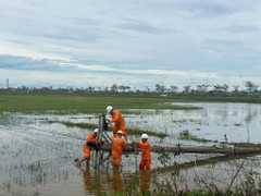 EVN cập nhật tình hình khắc phục sự cố điện sau bão số 10