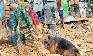 Huy động hơn 200 người và chó nghiệp vụ tìm 4 nạn nhân sạt lở ở Tuyên Quang