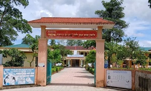 Nữ phó hiệu trưởng bị tạm đình chỉ công tác sau vụ 40 học sinh nghi ngộ độc