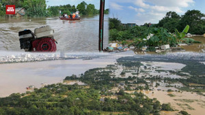 Nước sông Hồng dâng cao 'nuốt' làng bãi giữa, người dân khóc ròng 