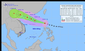 Bão Matmo khả năng cao đổ bộ đất liền Quảng Ninh
