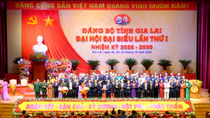 Chân dung các Phó Bí thư Tỉnh ủy mới của Gia Lai