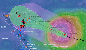 Tin bão số 11 Matmo mới nhất: Giật cấp 15, cách đặc khu Hoàng Sa 290km