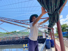 Quảng Ninh - Hải Phòng họp khẩn, chủ động ứng phó bão Matmo