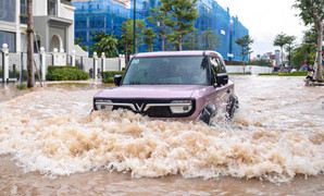 Sở Xây dựng Hà Nội 'đặc biệt rút kinh nghiệm' sau bão Bualoi, chuẩn bị ứng phó bão số 11