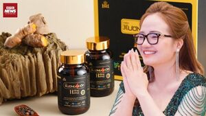 ‘Đế chế’ kinh doanh dược mỹ phẩm của Hoàng Hường hoạt động ra sao?