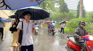 Trường học ở Hải Phòng được tự quyết định cho học sinh nghỉ tránh bão Matmo